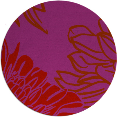 asha rug - item 657893