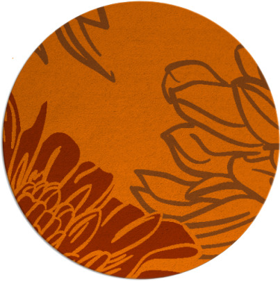 asha rug - item 657897