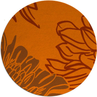 asha rug - item 657899