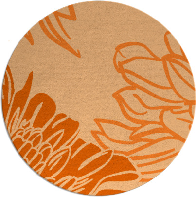 asha rug - item 657901