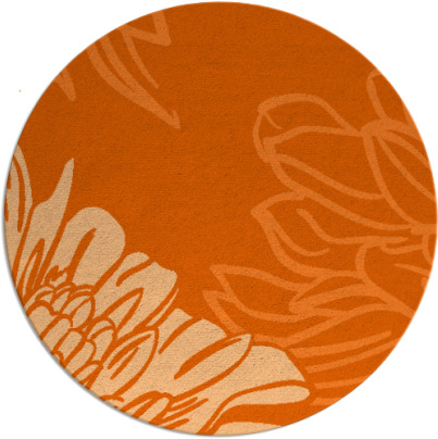 asha rug - item 657902