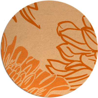 asha rug - item 657903