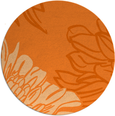 asha rug - item 657904