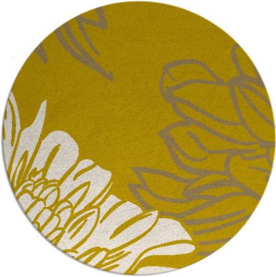 asha rug - item 657905