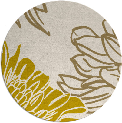 asha rug - item 657906