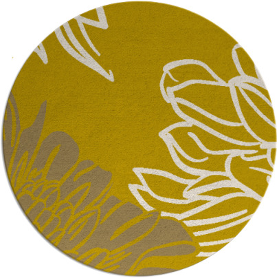 asha rug - item 657907