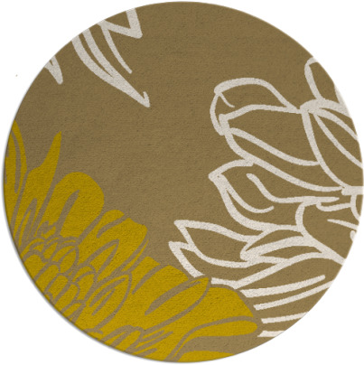 asha rug - item 657908