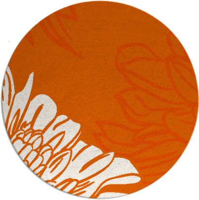 asha rug - item 657909