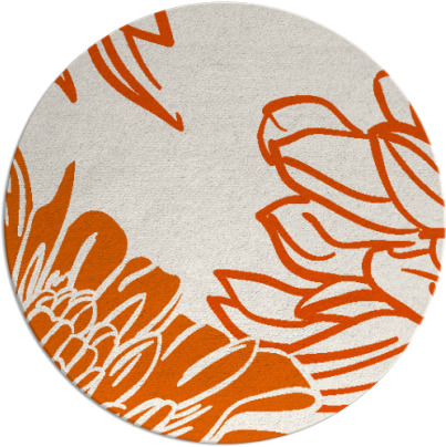 asha rug - item 657910