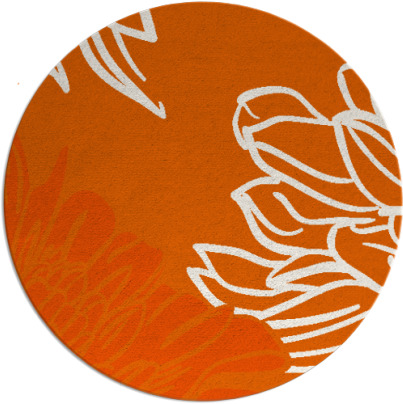 asha rug - item 657911