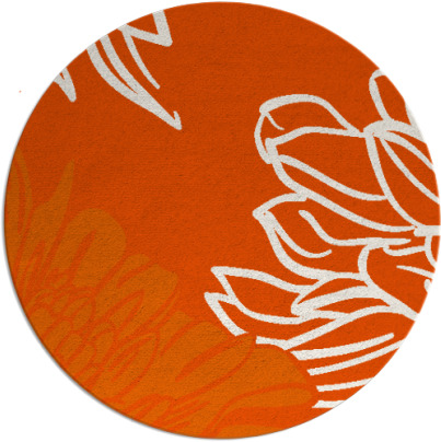 asha rug - item 657912