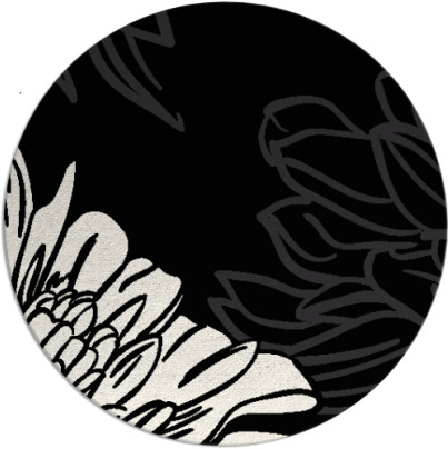 asha rug - item 657913