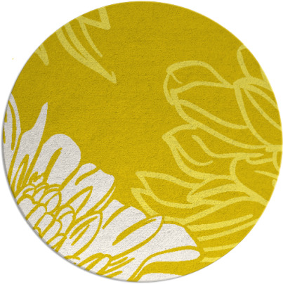 asha rug - item 657917