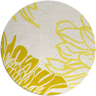 asha rug - item 657918