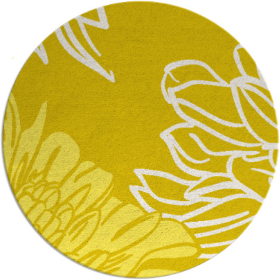 asha rug - item 657919