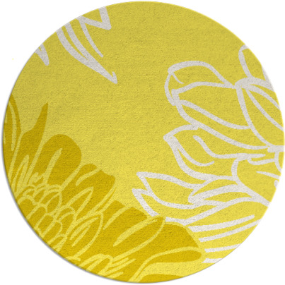 asha rug - item 657920