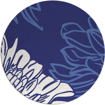 asha rug - item 657921