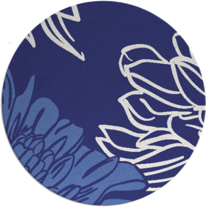 asha rug - item 657923