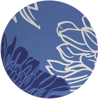 asha rug - item 657924