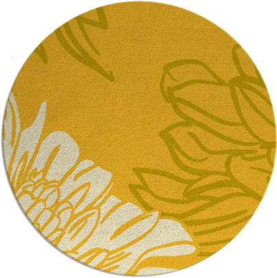 asha rug - item 657929