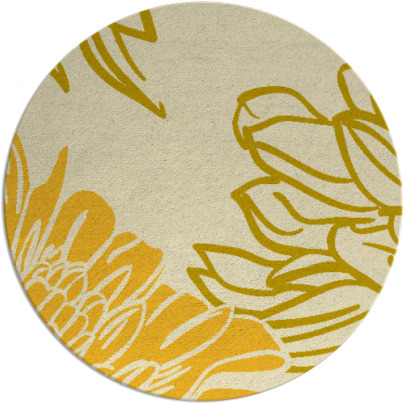 asha rug - item 657930