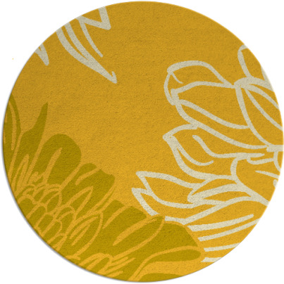 asha rug - item 657931