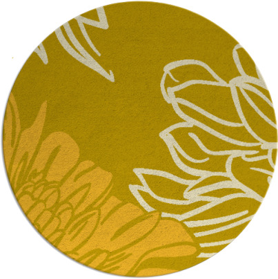 asha rug - item 657932