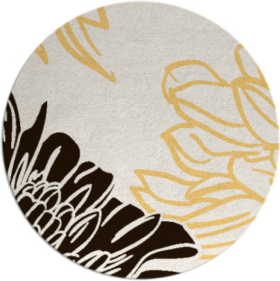 asha rug - item 657938