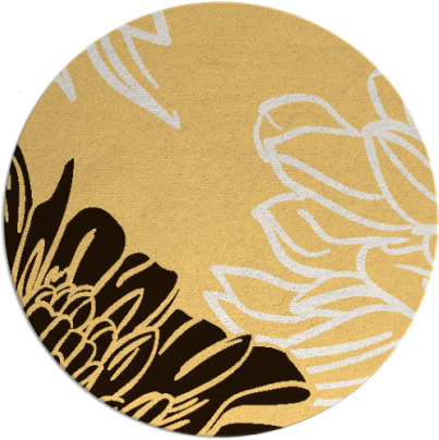 asha rug - item 657940