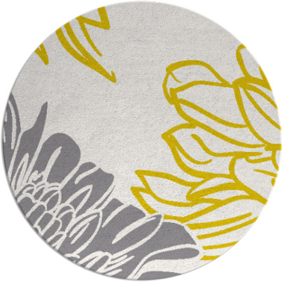 asha rug - item 657943