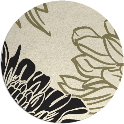 asha rug - item 657949