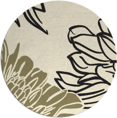 asha rug - item 657951