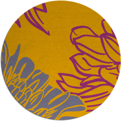 asha rug - item 657956