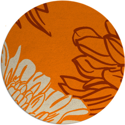 asha rug - item 657957