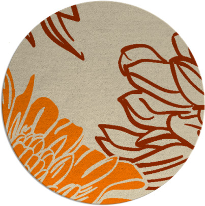 asha rug - item 657958