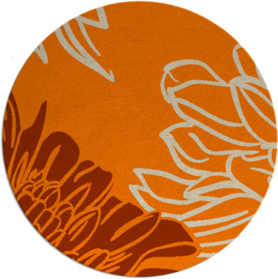 asha rug - item 657959