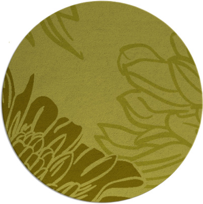 asha rug - item 657961