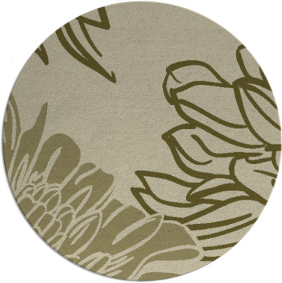 asha rug - item 657976