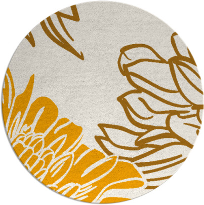 asha rug - item 657977