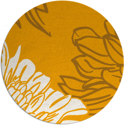 asha rug - item 657978