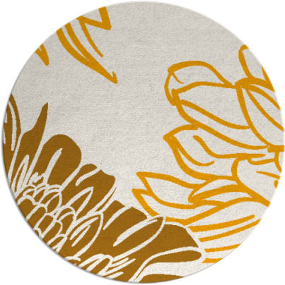 asha rug - item 657979