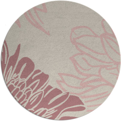 asha rug - item 657981