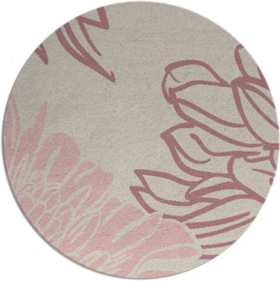 asha rug - item 657983