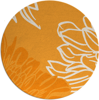 asha rug - item 657985