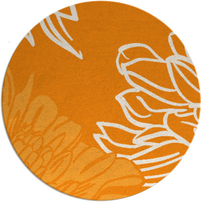 asha rug - item 657986