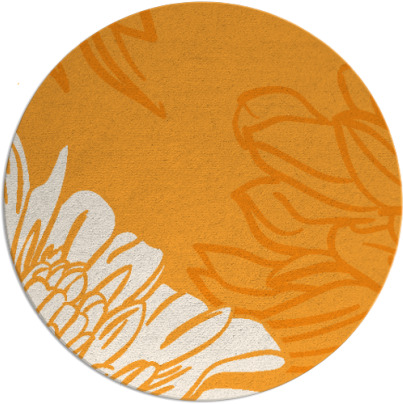 asha rug - item 657987