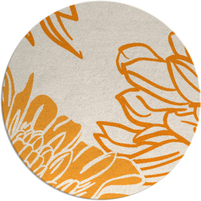 asha rug - item 657988