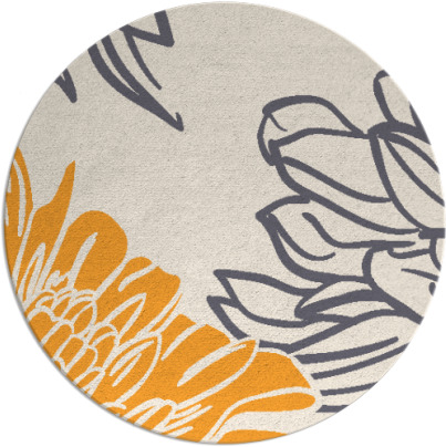 asha rug - item 657989