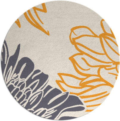 asha rug - item 657991