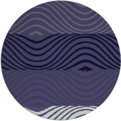 fizzer rug - item 696450